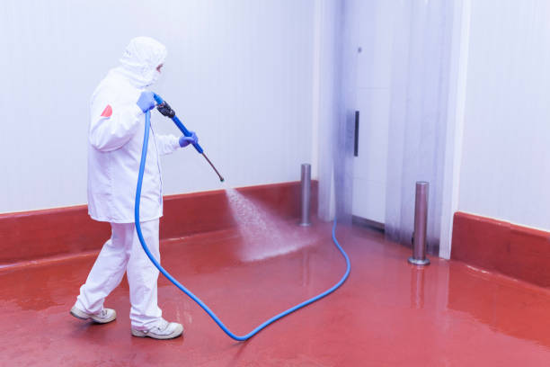 Best House Exterior Washing  in West Lafayette, OH